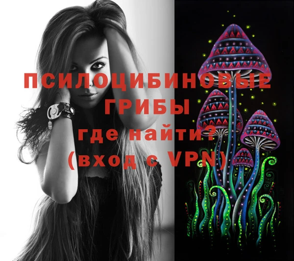 твердый Арсеньев