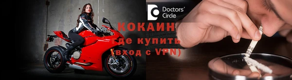 сатива Аркадак