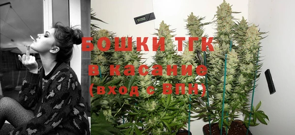 сатива Аркадак