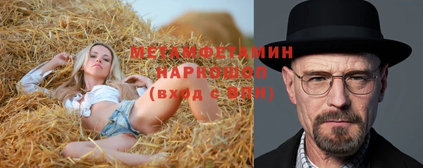 сатива Аркадак