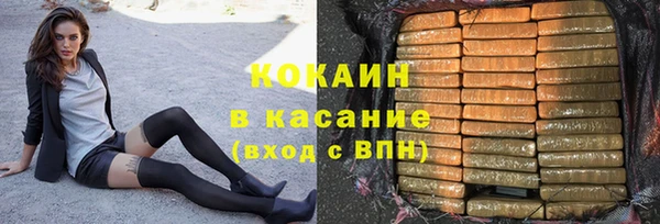 сатива Аркадак