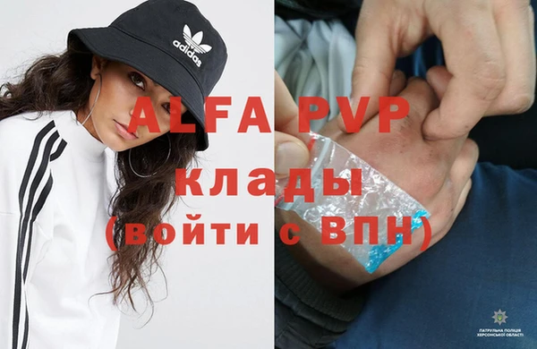 твердый Арсеньев