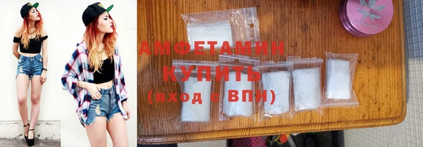 твердый Арсеньев