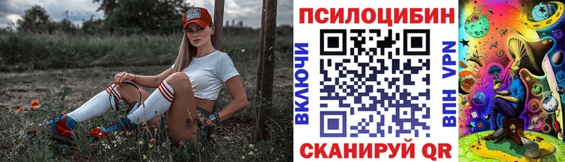 kraken ONION  Ядрин  Псилоцибиновые грибы MAGIC MUSHROOMS 